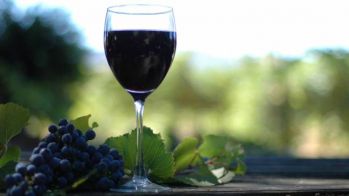 Вино "Черный Доктор" (сухое красное)-0,75 литр